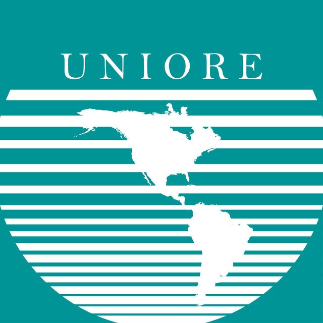 Unión Interamericana de Organismos Electorales